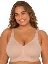 Sutiã Fruit of the Loom Feminino Plus Size Sem Arco em Algodão Sutiã Fruit of the Loom Feminino Plus Size Sem Arco em Algodão