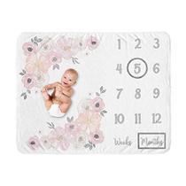 Sweet Jojo Designs Aquarela Floral Girl Milestone Cobertor Mensal Recém-nascido Primeiro Ano Crescimento Mat Baby Shower Memory Keepsake Gift Picture - Blush Rosa, Cinza e Branco Boho Shabby Chic Rose Flower