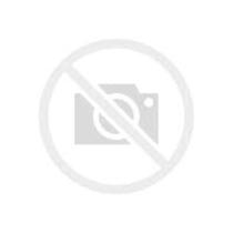 SWITCH 24-port auto mdi-mdi-x baseline 2024