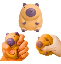 Taba Squihsy Capivara Viral Molinha Apertar Fofa