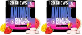 Tabletes mastigáveis de creatina Animal 5 g, sabor Fruit Punch Tabletes mastigáveis de creatina Animal 5 g, sabor Fruit Punch