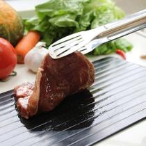 Tábua Mágica descongela Alimentos 35x19,5cm Carnes Frango Defrost Express - Clink