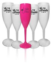 Taça Champagne para Despedida de Solteira - 11 Peças - 170ml