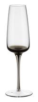 TAÇA CHAMPANHE 23x7x7cm 210ml VIDRO TRANSP 6PÇ TAÇA CHAMPANHE 23x7x7cm 210ml VIDRO TRANSP 6PÇ