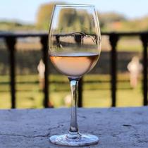 Taça crystal Bohemia white wine glass