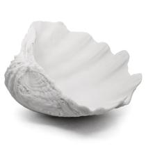 Taça decorativa Accessoryway de 31,5 cm White Clam Shell Taça decorativa Accessoryway de 31,5 cm White Clam Shell