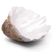 Taça decorativa Accessoryway Extra Large Clam Shell 32x26x11 cm