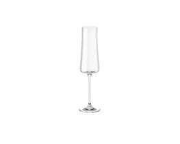 Taça para Espumante Pleasure 210 ml Brinox Taça para Espumante Pleasure 210 ml Brinox