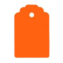 Tag Laranja com furo 10un - Rizzo