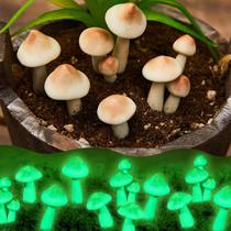 Taiyin, 20 peças, decoração de jardim Glow Mushroom, impermeável, 2-4 cm