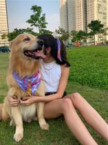 Tal Mae Tal Pet - Bandana Pet e Elastico cabelo com Lenco - Arte Moderna Lilas Tal Mae Tal Pet - Bandana Pet e Elastico cabelo com Lenco - Arte Moderna Lilas