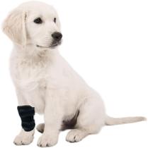 Tala Ortese do Cachorro imobilizador de Joelho do Cao Tala Ortese do Cachorro imobilizador de Joelho do Cao