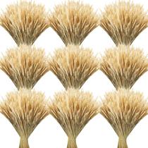 Talos de trigo secos Geosar 600 Hastes para decoração de 40 cm Talos de trigo secos Geosar 600 Hastes para decoração de 40 cm