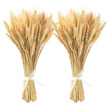 Talos de trigo secos Uieke 600 Hastes 45cm para decoração de casa Talos de trigo secos Uieke 600 Hastes 45cm para decoração de casa