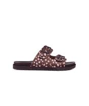 Tamanco Pixolé Flatform Fivelas Animal Print Marrom Tamanco Pixolé Flatform Fivelas Animal Print Marrom