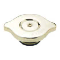 Tampa Radiador Vw Gol 1990 a 1996 - 196863 - 24013