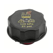 Tampa Reservatorio Do Radiador Focus Transit Ecosport Fusion