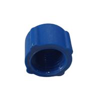 Tampao Da Drenagem Bomba Do Transf. Sulinox Azul 1/4 Bsp Tampao Da Drenagem Bomba Do Transf. Sulinox Azul 1/4 Bsp