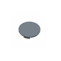 Tampão para condulete pvc 3/4'' cinza - maxxbox