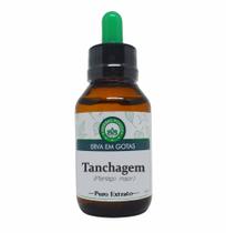 Tanchagem - Extrato 60 ml (Tintura Mãe) Tanchagem - Extrato 60 ml (Tintura Mãe)