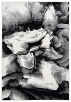 Tapete Abani Arto 91 x 152 cm Preto e Branco Floral