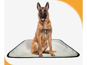 Tapete Adestramento Dupla Camada Impermeável 10Un G 90X100Cm