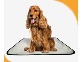 Tapete Adestramento Dupla Camada Impermeável 10Un M 60X80Cm