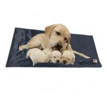 Tapete Almofada Colchão Elétrico Térmico Para Gatos Cães e Répteis Tapete Almofada Colchão Elétrico Térmico Para Gatos Cães e Répteis
