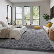 Tapete Andrebio Grey Modern Fluffy Living Room 150x240cm
