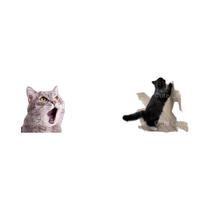 Tapete Anti-Risco para Gato - Autoadesivo, Aparável e Reutilizável para Sofás e Móveis