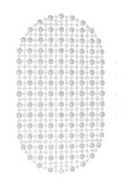 Tapete Antiderrapante 60X40 Banheiro Box Chuveiro Ventosa Tapete Antiderrapante 60X40 Banheiro Box Chuveiro Ventosa