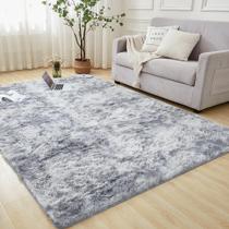 Tapete Area Andency Shag, 6 x 9 pés, tingido de cinza claro para sala de estar