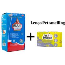 Tapete Blue Premium 80x60 30 un + Lenço Pet Smelling