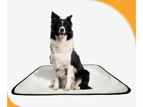 Tapete Canino Lavável Pet em oferta 2un M - 60 X 80 cm