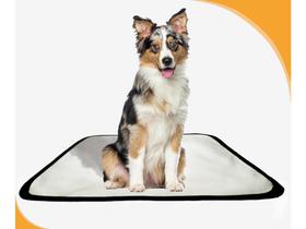 Tapete Canino Pet Estratégico Em Oferta 3 Un P 50X60Cm Tapete Canino Pet Estratégico Em Oferta 3 Un P 50X60Cm