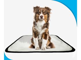 Tapete Canino Pet Prático Estratégico 3 un P 50x60cm - SHELBY MODA PET