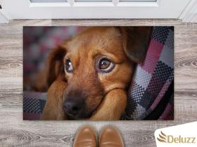 Tapete Capacho Personalizado Divertido Dog Pet Cachorro Cão