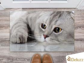 Tapete Capacho Personalizado Divertido Gatos Cat Felino