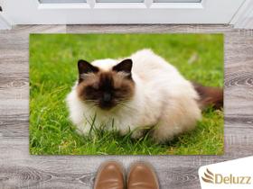 Tapete Capacho Personalizado Divertido Gatos Cat Felino Tapete Capacho Personalizado Divertido Gatos Cat Felino