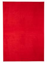 Tapete Carino Vermelho 0,40x0,60 - Edantex 6