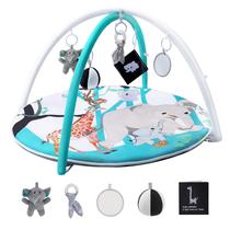 Tapete de Atividades Baby Play Gym EAPFCT - 5 Brinquedos para Bebês de 0 a 12 Meses