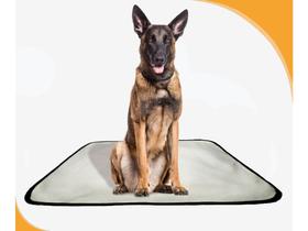 Tapete De Cuidados Para Cachorros - 5 Unidades G 90X100 Cm