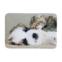 Tapete de Entrada Grand Pet Cochilo Bege 40cm x 60cm Attuale Corttex Tapete de Entrada Grand Pet Cochilo Bege 40cm x 60cm Attuale Corttex