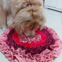 Tapete De Fuçar para cães / Forrageio / Faro Tapete para cachorros