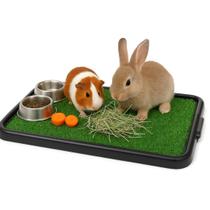 Tapete de Grama Sintética para Coelho Chinchila e Porquinho da Índia Tapete de Grama Sintética para Coelho Chinchila e Porquinho da Índia