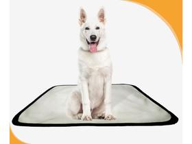 Tapete De Treinamento Canino Lavável 5Un M - 60X80 Cm