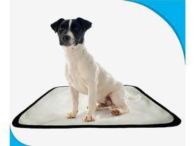 tapete dog para cães lavável absorvente 1 un P - 50X60 cm - SHELBY MODA PET