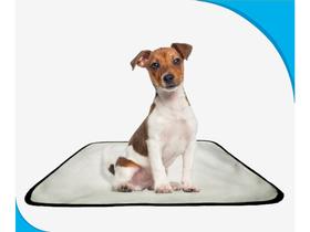tapete dog para cães lavável absorvente 2 un M - 60X80 cm tapete dog para cães lavável absorvente 2 un M - 60X80 cm