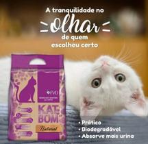 Tapete educador para gatos de porte pequeno