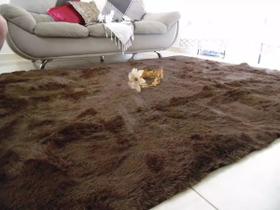 Tapete Felpudo 2 m X 1 40 m Peludo 4 Cm Shaggy Luxo Mega Decoração Sala Quarto Copa Pelo Alto Fofo Macio